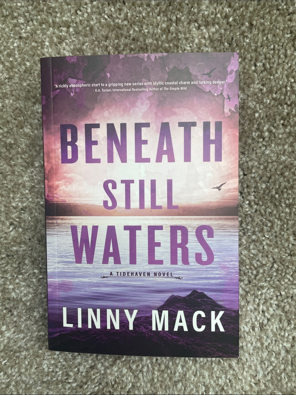 Beneath Still Waters • Linny Mack Paperback Book